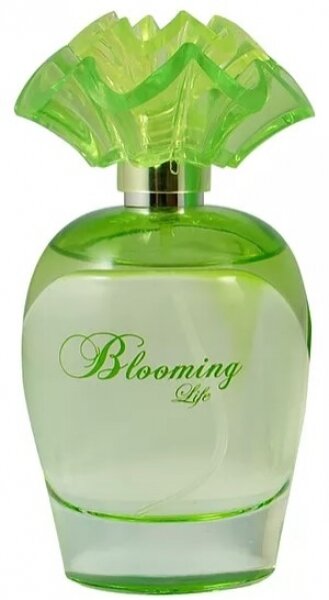 Versailles Beaute Blooming Life EDP 100 ml Kadın Parfümü kullananlar yorumlar
